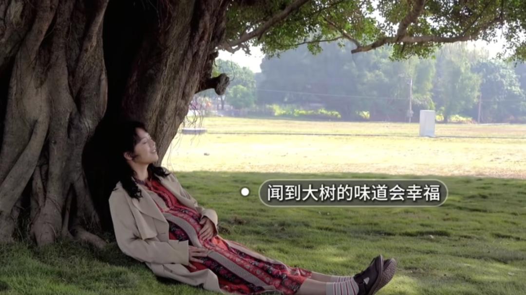 这次的白客，比贾玲好太多