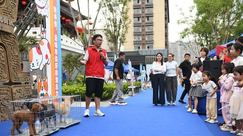 细雨难挡热情！“邯郸端午城市治愈生活节”圆满落幕