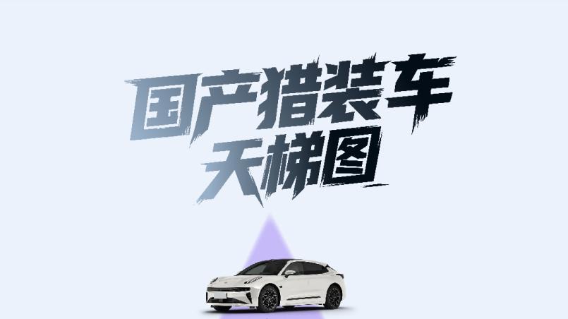 国产猎装天梯图出炉，极氪001才是鼻祖？