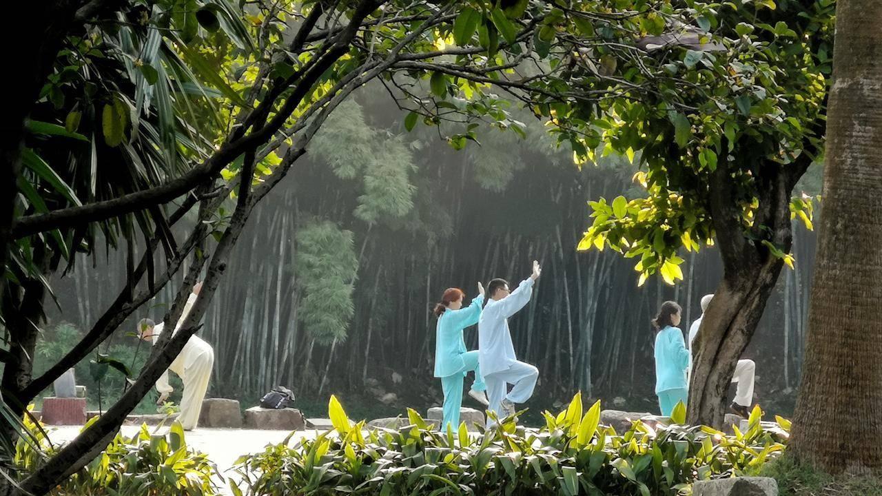 小寒至，冬藏转：顺应天时的养生之道