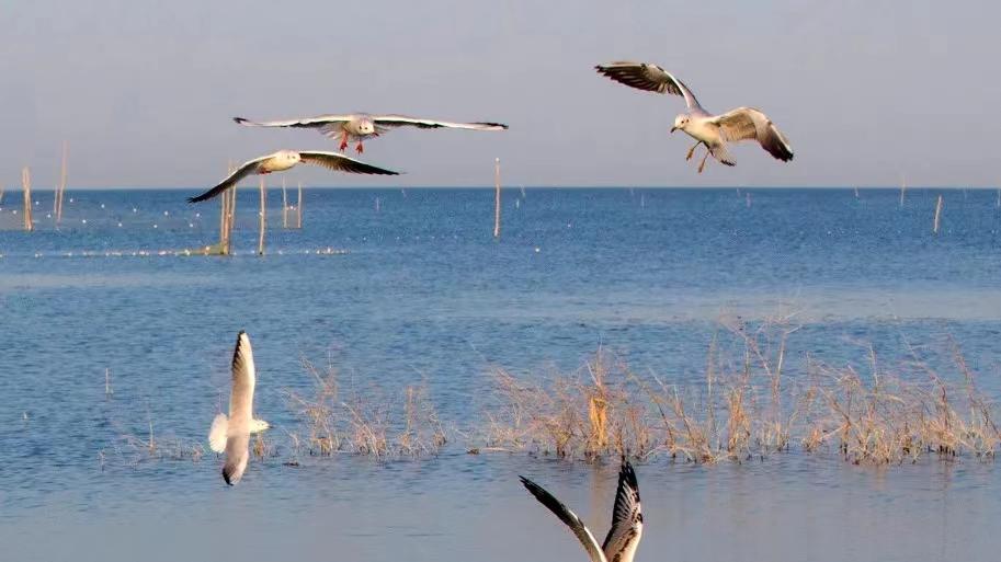 2026年每日通盛及生肖运势1月14日