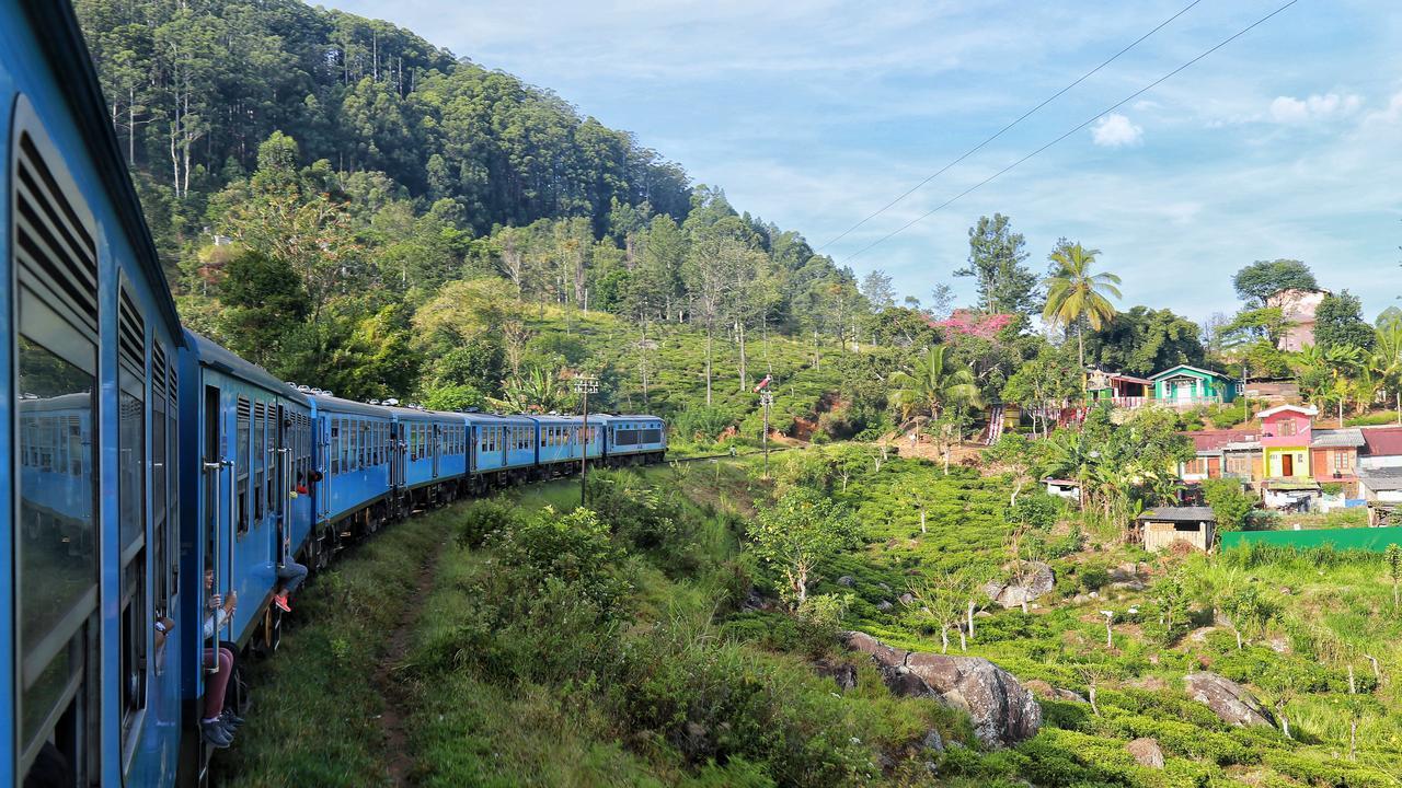一杯锡兰红茶香飘世界，90% 国土产宝石：斯里兰卡的双料传奇