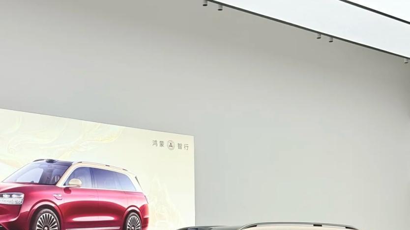 纠结！问界M9好，还是极氪9X好？