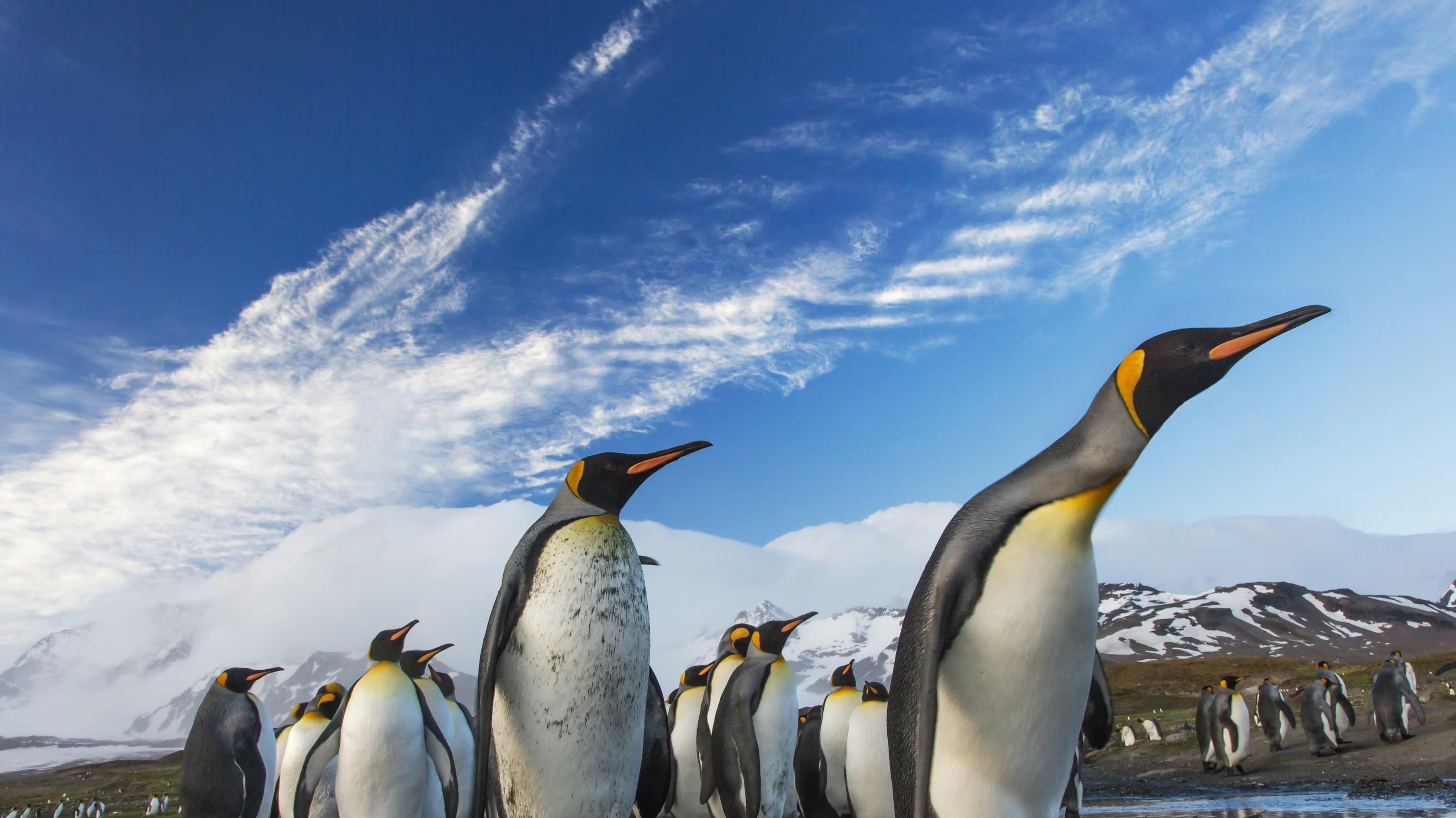 南极无主之地？那些押宝未来的博弈手段？