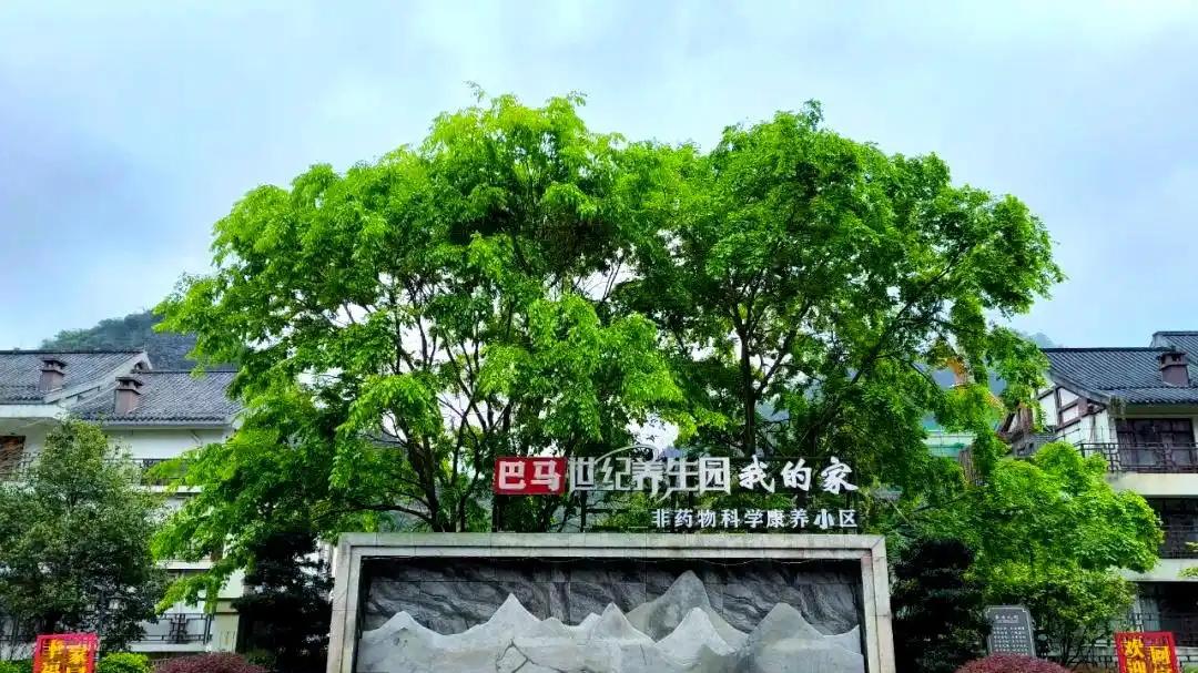 不止冬日避寒，在巴马世纪养生园，四季皆是宜居处