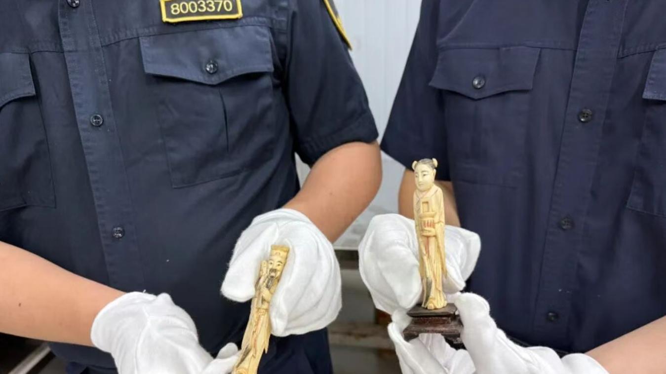 海关律师、走私辩护律师邵丹：查获走私象牙制品