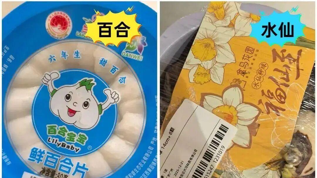 误将水仙当百合配送致祖孙二人中毒，盒马被罚198元，当事人家属称要诉讼到底