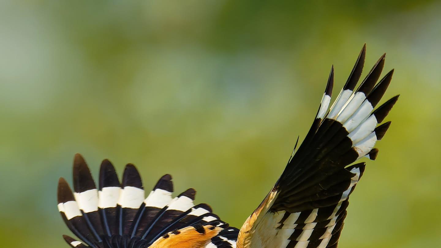 访谈实录｜步入古稀之年，她的钱都花在了哪里