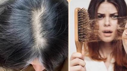 熬夜程序员试了4款洗发水，终于找到头不油、不掉屑的那瓶