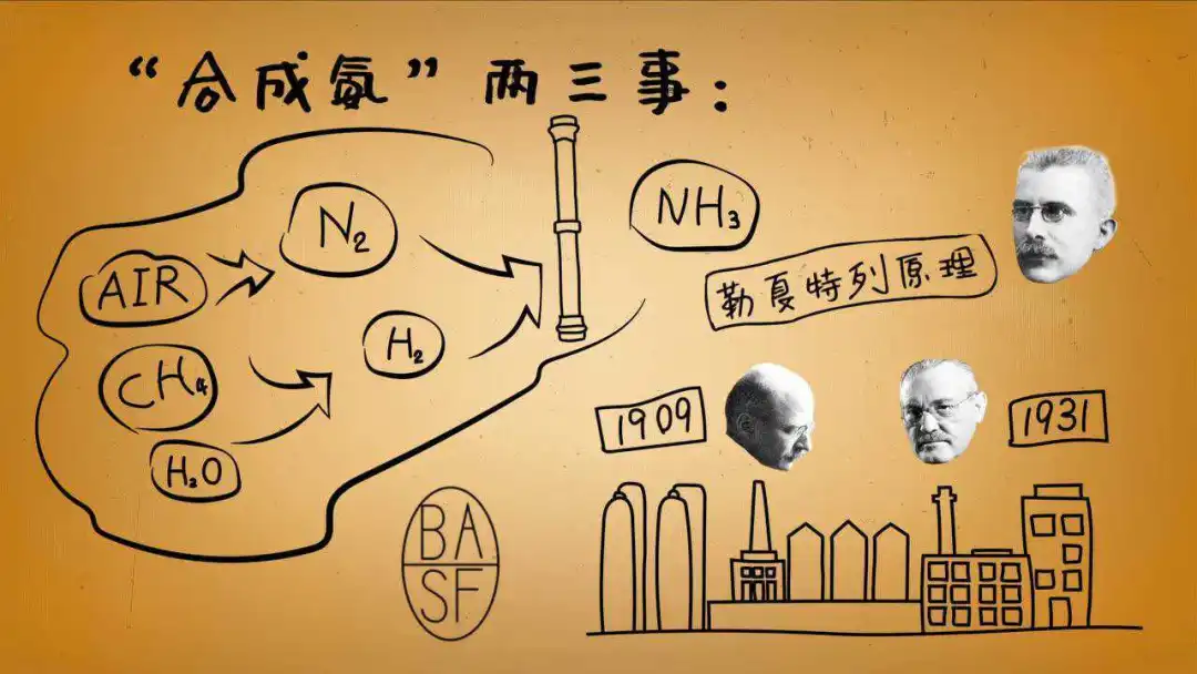 卡尔·博施：他用高压锅煮出了半个地球的口粮