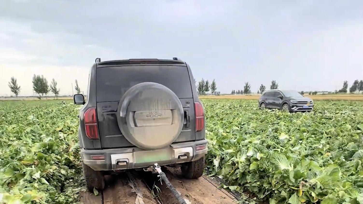 《惊蛰无声》里全是方程豹豹5：不仅是荧幕追凶，还能在现实救人