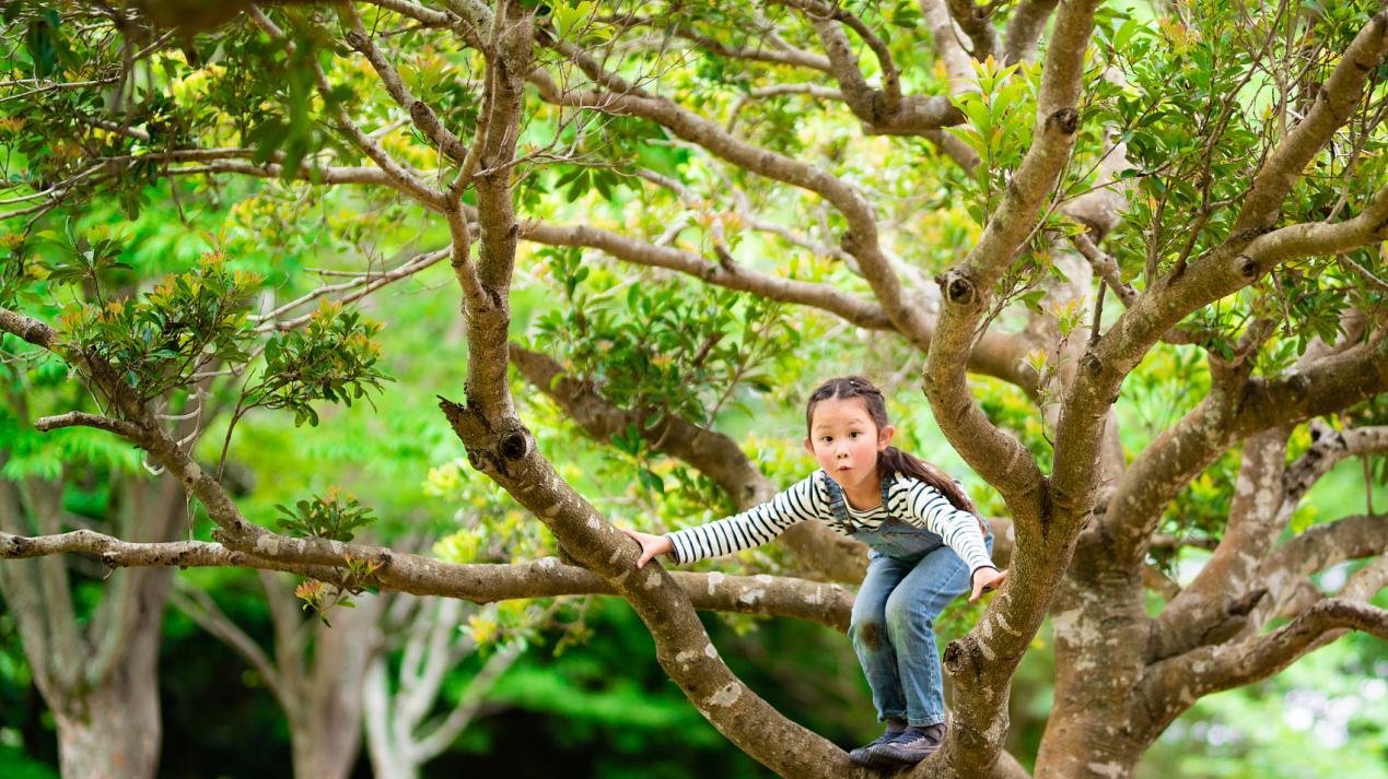 性格没有好坏，命运没有对错。