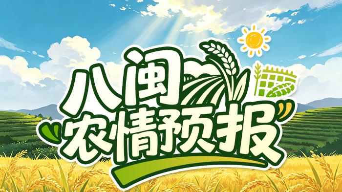 气温飙升湿度高，果园菜地病虫害防治别拖延