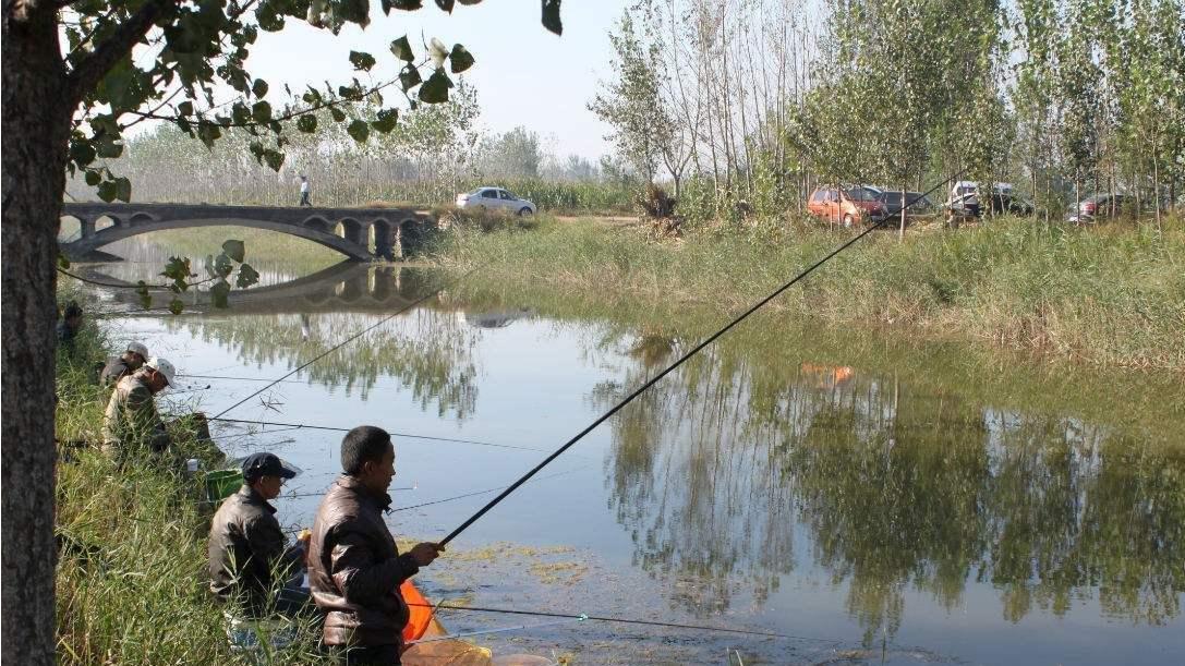 浮漂调好了四目，如何再调钓目？浮漂上拉多少？子线的长度多少？