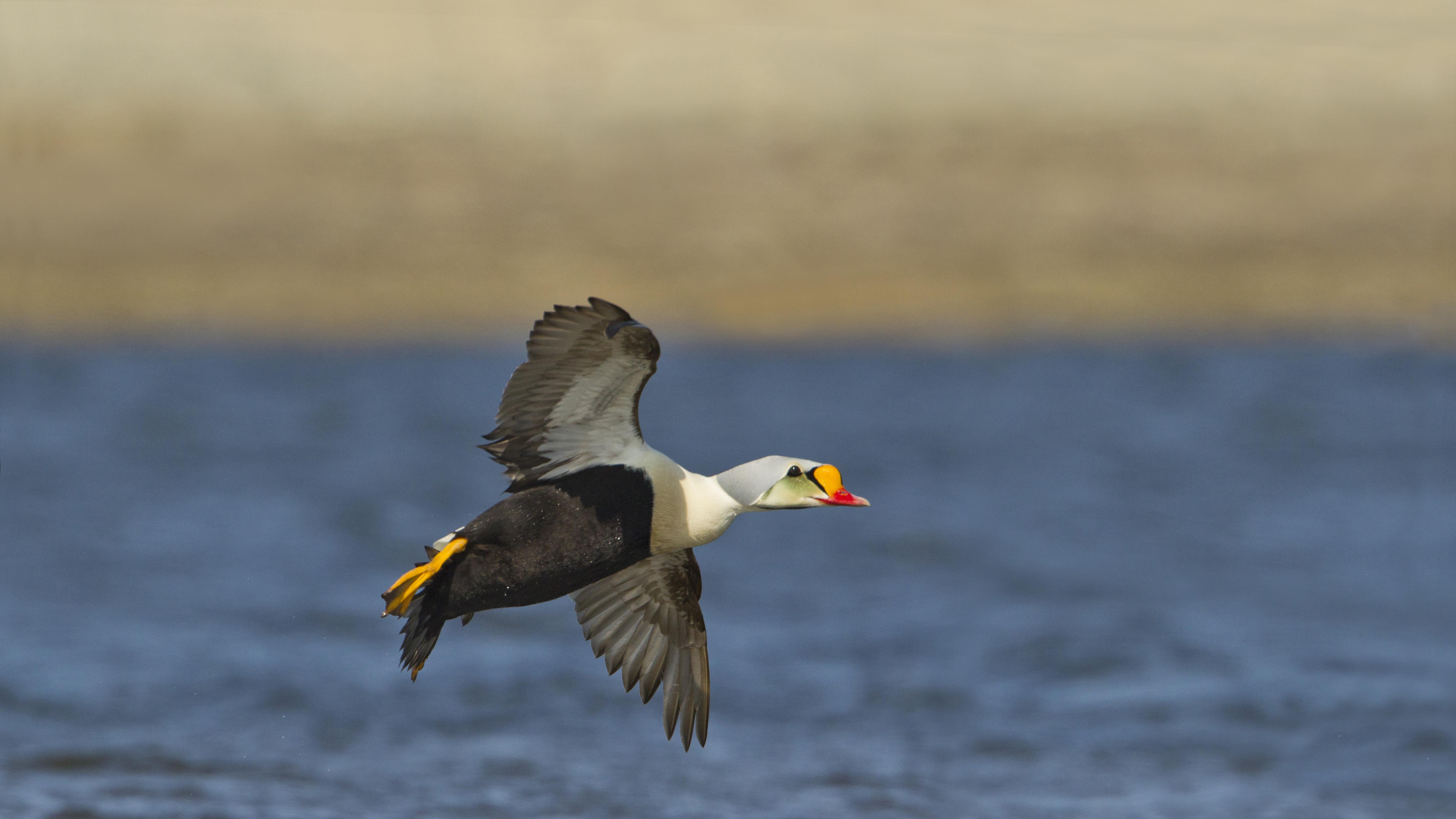 美国中产的命，正悬在400美元的斩杀线上