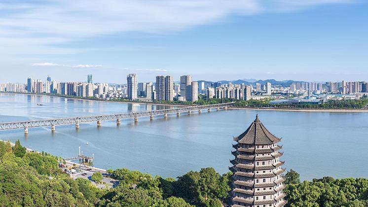 杭州个体户新政：警惕3个免税陷阱，章鱼问账帮避坑