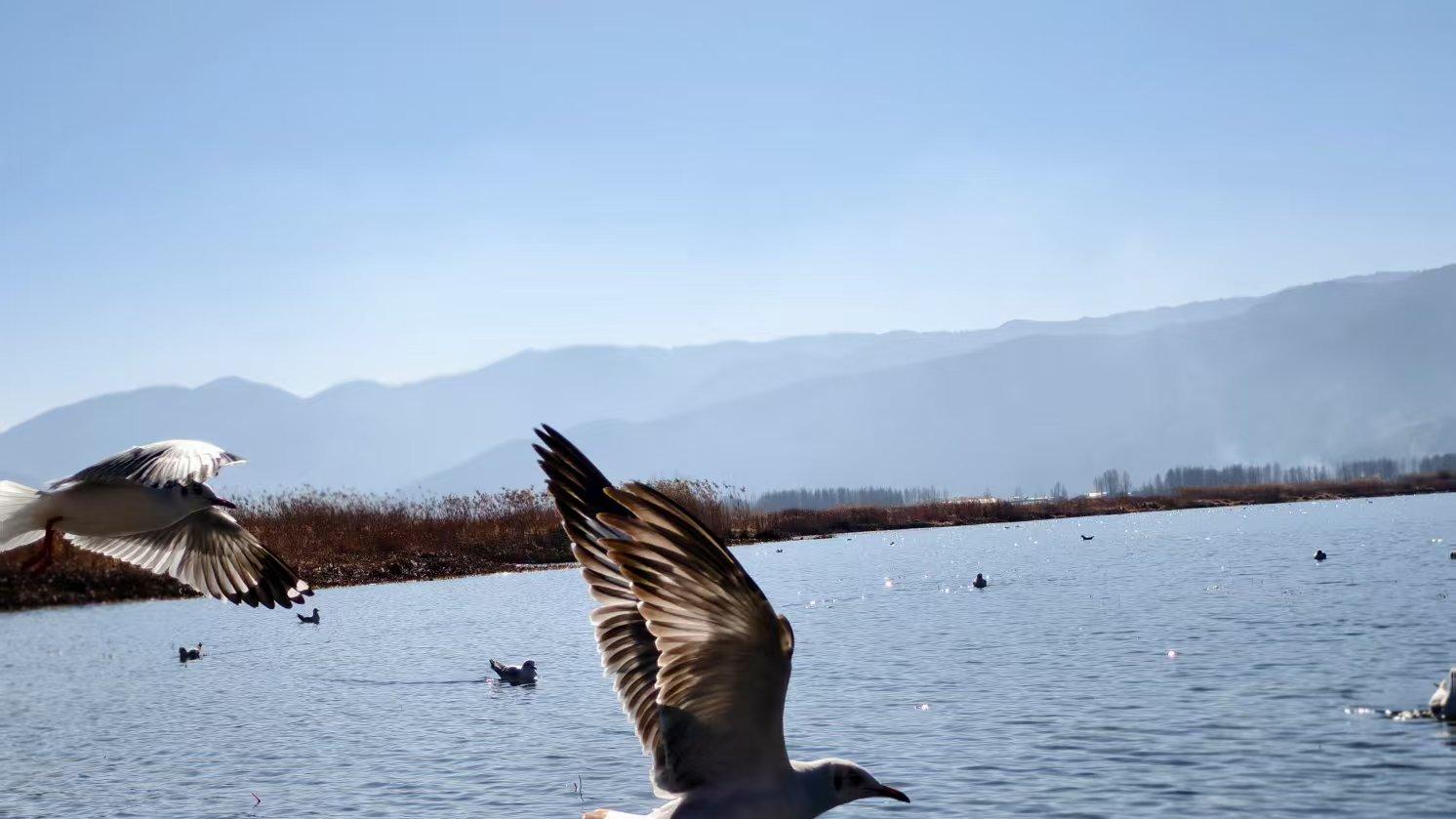 vivo S50 Pro mini上手评测：小屏旗舰的终极形态