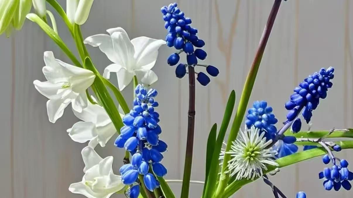 孕31周，领教了孕晚期的威力