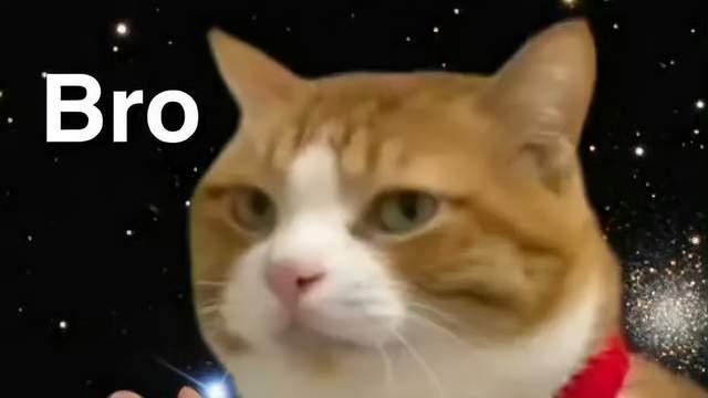 《天下贰·经典版》搬砖指南来了！这就是搬砖党的“世外桃源”吗