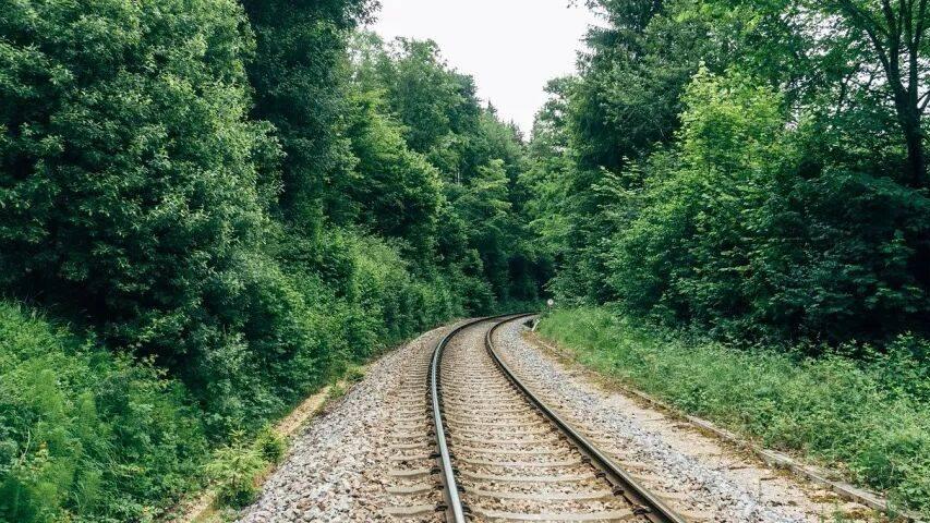 2026年美的集团的方向路径与动力