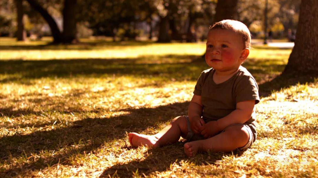 宝宝的“晒后修复圣草”！积雪草到底有多能打？