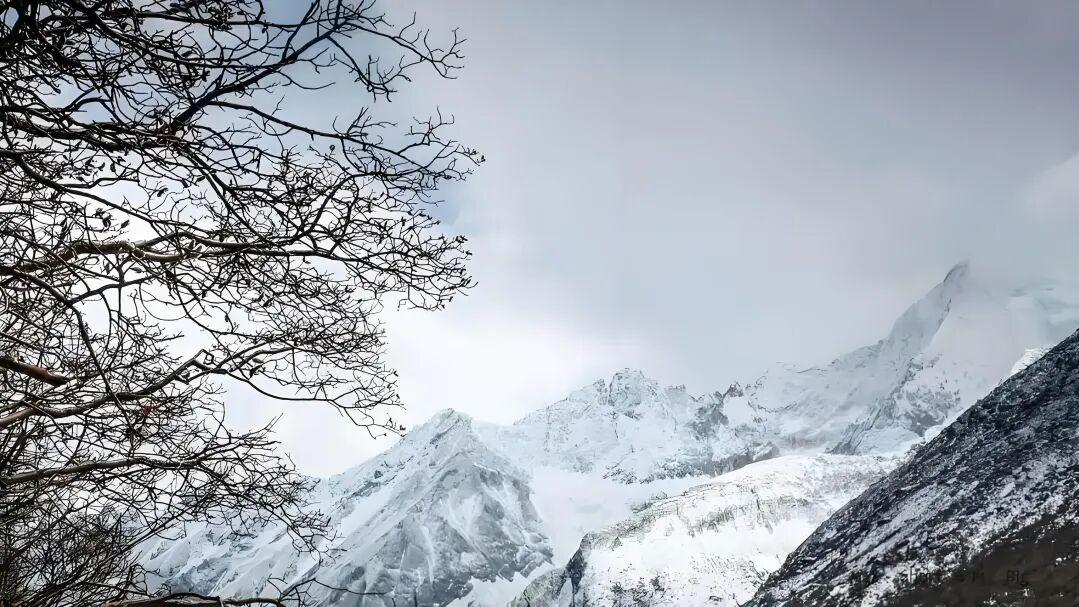 七律·寒谷寻春思