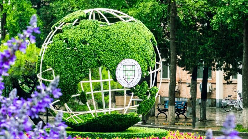 达标率超80%、专项经费3.2亿：北语成北京最有可能入选双一流高校
