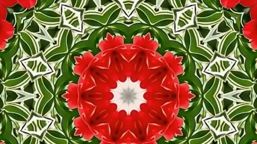 幸福不是没有烦恼，而是要学会和烦恼握手言和