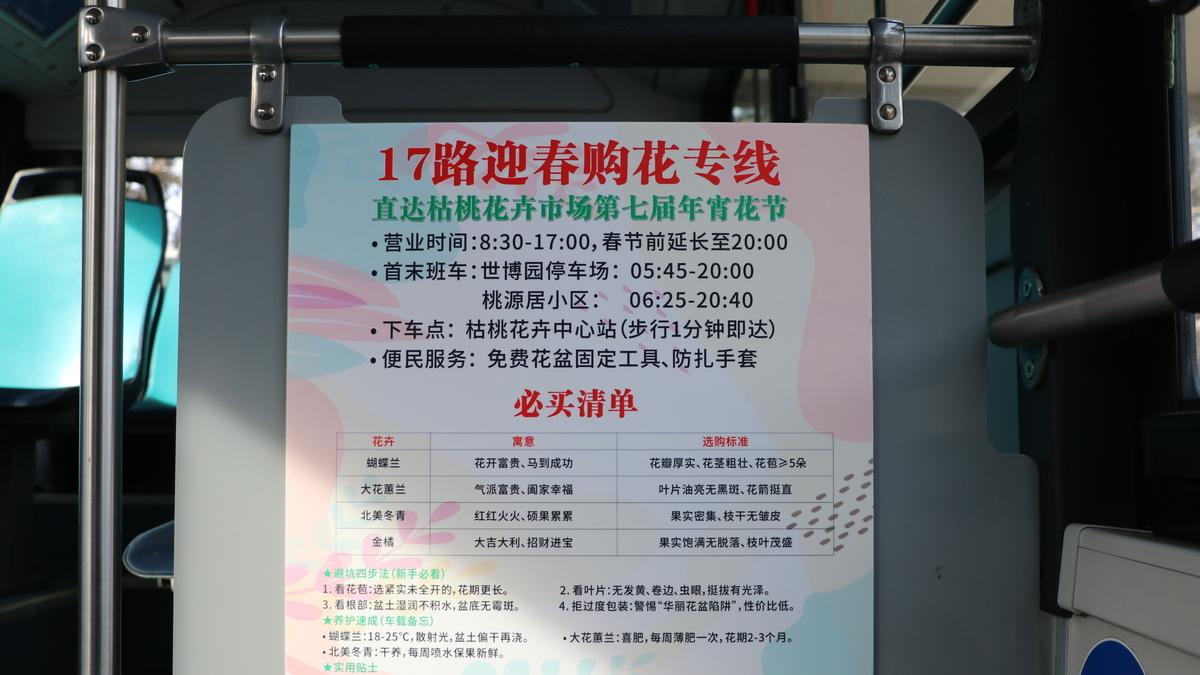 花卉市场火爆！青岛巴士上新“移动新春花坊”服务