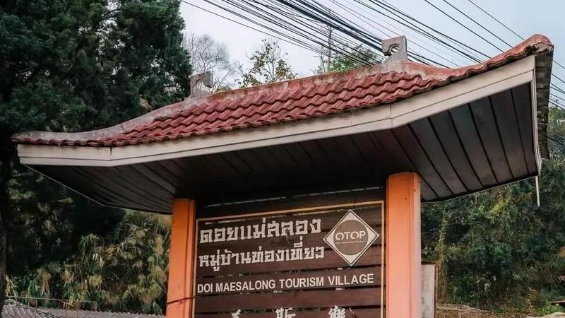 跑路我是专业的——先撤为敬，李弥的战场生存指南