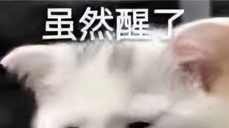 活久见！在率土之滨里打了败仗，居然会当场变成方块人