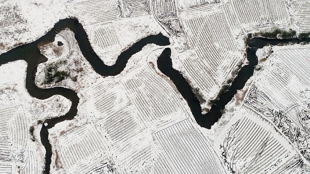 服务业才是中国经济的“第二张牌”