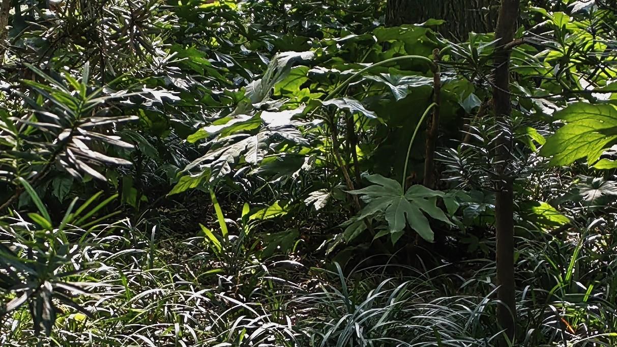 你的同事，为什么就是不配合？