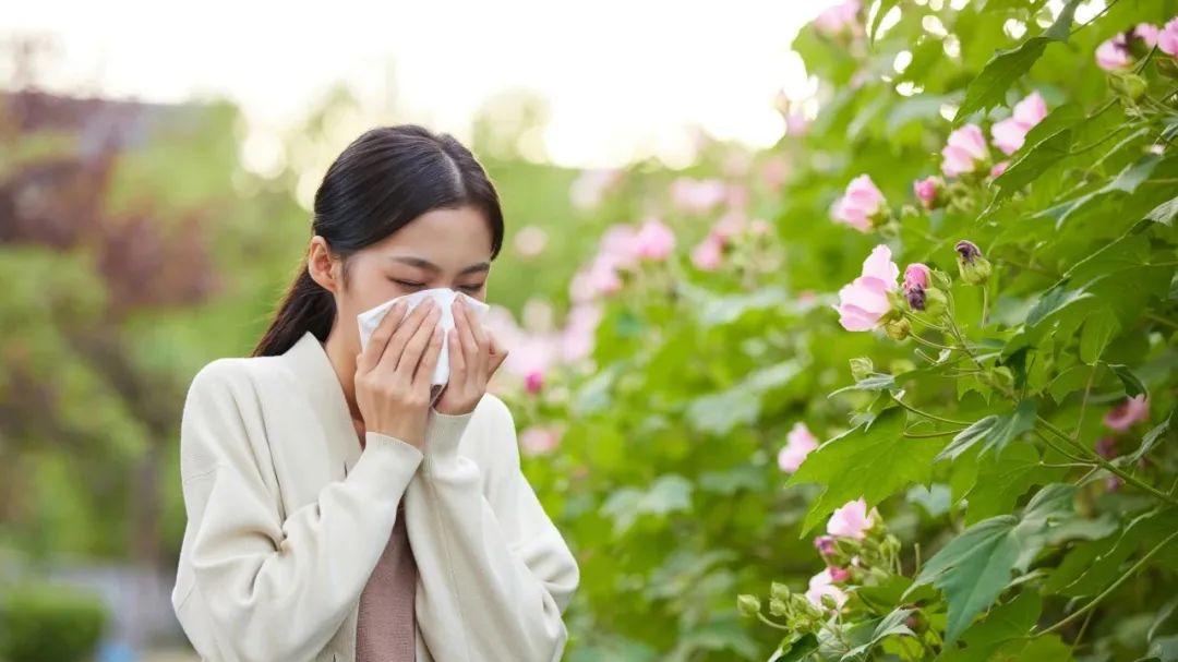 春季花粉过敏？用中医思维看懂它，轻松应对不烦恼