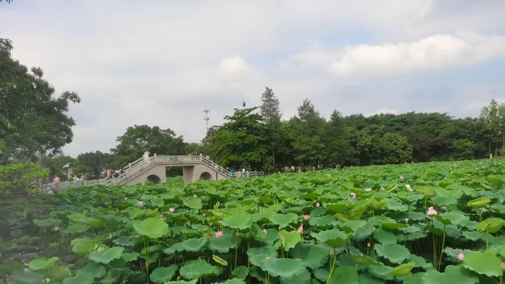 商鞅变法启示录：当古代改革黑科技遇上现代职场内卷