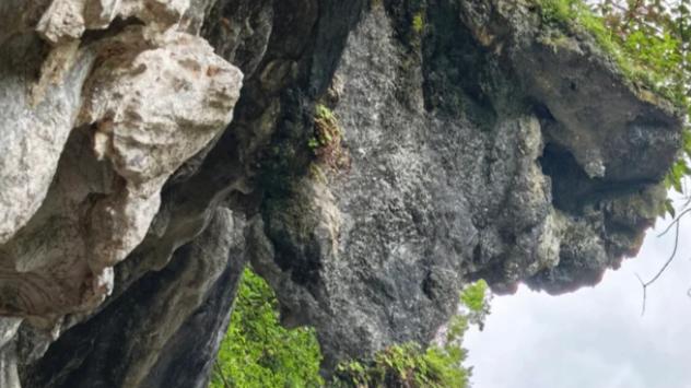 奇石成林、溶洞幽深，读懂东南喀斯特地貌之美