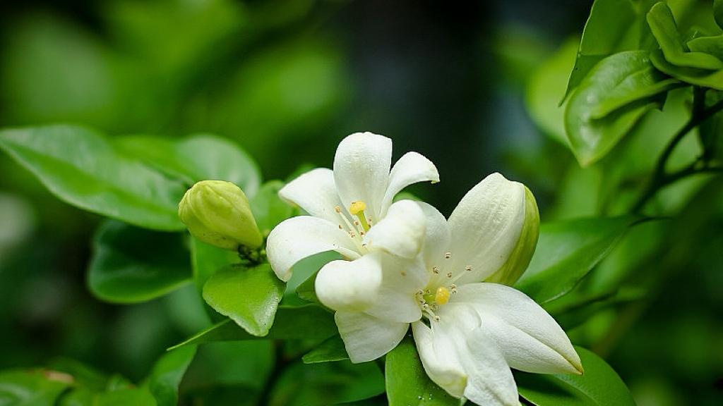 年夜饭预订涨105%，我们在吃什么？