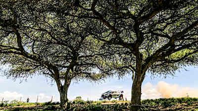 索尔伯格在周五戏剧性事件后，仍以微弱优势领先奥吉尔