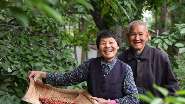 【国学】桑树、梓树可指家乡，椿树、萱草代表父母，这什么典故？