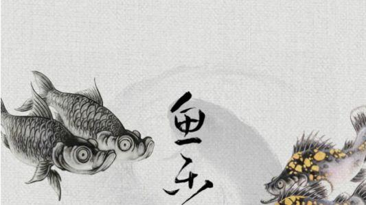 鱼乐川 | 万色归真