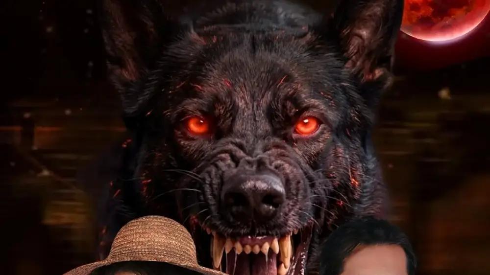 《别惹我的狗》人宠并肩破局，高燃逆袭与暖心守护（40集）