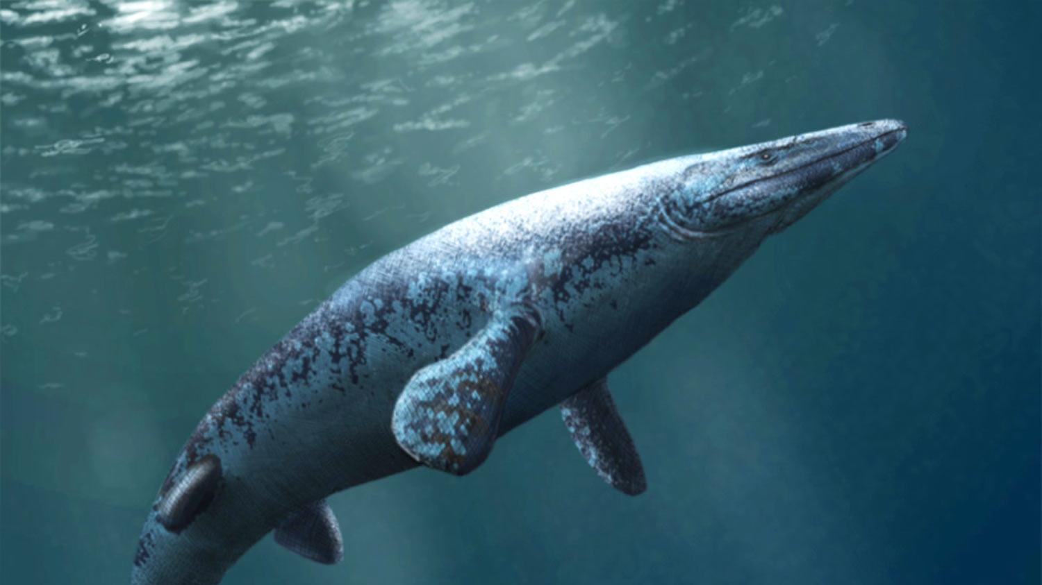 恐龙真的统治了地球吗？我们可能理解错了“统治”