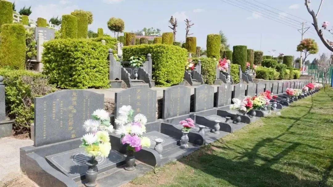 殡葬新规3月30日实施！土葬火葬自由，家有老坟的，要注意了！
