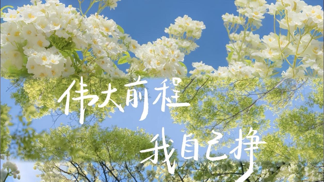 2026年自考教材和大纲有哪些变化？怎么买到正版教材？（四川小自考跨省考生必看）