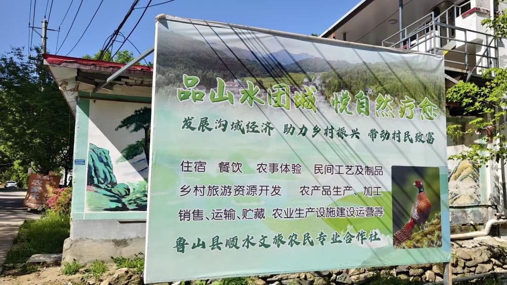 从金融尖兵到文旅头雁——记河南农商银行鲁山支行驻村队员韩峰