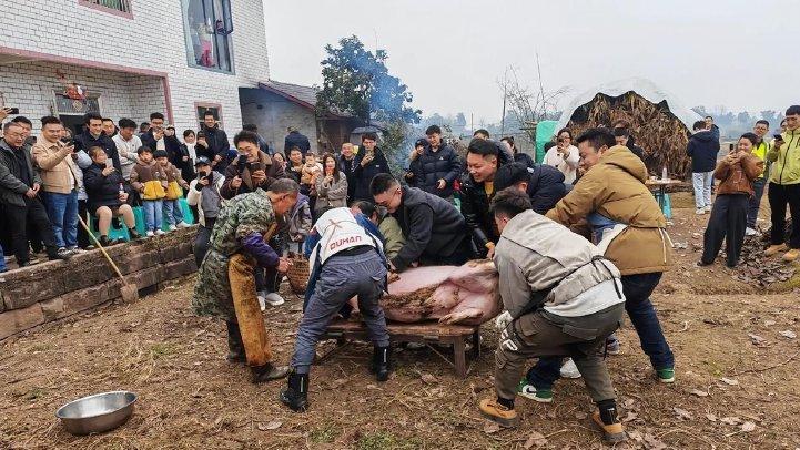 杀年猪女孩“呆呆”3天涨粉近200万：狂热奔赴的网友究竟都啥心态