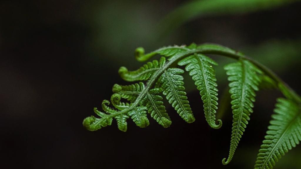 顶级控股巨头的“深根逻辑”才是真护城河