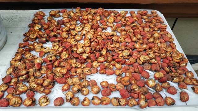 春天，少吃香蕉多吃草莓，一次买10斤，晒干囤着，美味又营养！