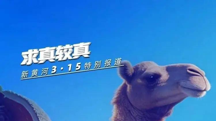 低价驼奶粉造假与幽灵店分销调查：标榜“新疆奶源”实为燕麦粉勾兑，含驼量1%或0检出，云仓代发