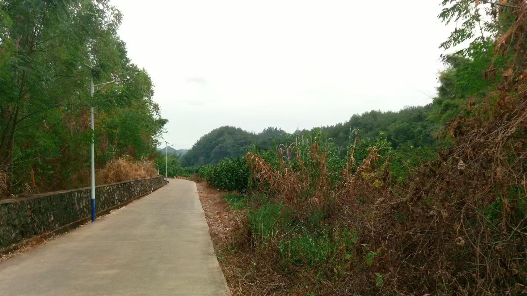 蓝牙/2.4G WiFi/5G WiFi 日本MIC(TELEC)认证全方案